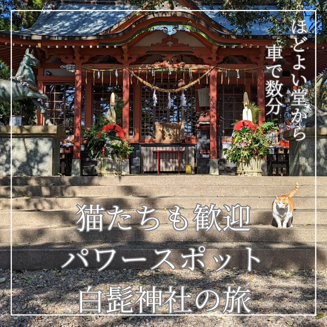 川南町ドライブのモデルコース案内イメージ